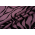 Саванна Флок 12 Lilac мебельная ткань Эксим Текстиль.